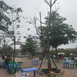 Bán đất mặt đường trung thịnh 317e - thanh thuỷ phú thọ. đường vào vườn vua. giá rẻ đầu tư