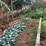 Chính chủ cần bán 75.6m đất thổ cư thôn thượng giáp, xã thống nhất, huyện thường tín, tp hà nội.
