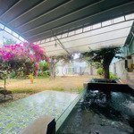 Bán nhà vườn 975m2 đường cách mạng tháng 8 - tp pleiku, gia lai, cách quảng trường đại đoàn kết 1km