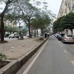 Mặt phố tố hữu hà đông 95m2, 7t, mt 6.5m kinh doanh đỉnh.