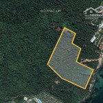 Bán đất ven biển ~ 6ha, chính chủ tại phú quốc