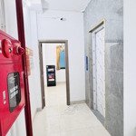 Bán cc mini tại hòe thị, 12tỷ 54m2, 12pn kk. ngõ ô tô. cách 1 nhà ra trục chính. doanh thu 65tr/th