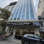 Hoàng hoa thám - ba đình.siêu phẩm buildinh nguy nga bề thế.vị trí đắc địa,mặt tiền 15m. giá đầu tư