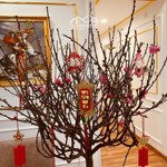 Bán cc mulberry lane, mỗ lao, hà đông, hà nội, 3,6 tỷ, 46m2, view đẹp, uy tín, lh 24/24h 0945566468