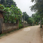 Chính chủ bán đất xã yên bình, thạch thất, hà nội