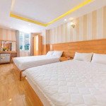 Bán khách sạn 7 tầng lý tự trọng - đi bộ ra biển, gồm 21 phòng kinh doanh tạo dòng tiền chỉ 18 tỷ