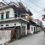 Trục chính kinh doanh thái bình - mai lâm trong đê