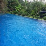 Bán gấp biệt thự đẹp xuất sắc tại flamingo đại lải resort, 18,5 tỷ, 325m2