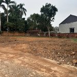 Cần bán 800m2 đất sổ hồng tại cổ liễn, cổ đông, sơn tây