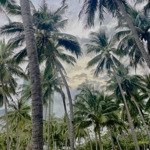 Bán nhà tttp đường hà thanh, vạn thắng, nha trang