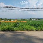 Bán lô đất giá rẻ tóc tiên thổ cư phú mỹ bà rịa