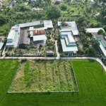 Bán lô đất liền kề tân trụ, long an giá rẻ. lh 0908122952