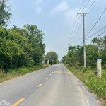 đại hạ giá lô đất vàng tại củ chi, dt 124,5m2, gần kdl củ chi, tiềm năng sinh lời lớn. chốt ngay!