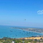 Bán đất thổ cư mặt tiền duyên hải cần giờ 3200m2 thổ cư gần dự án lấn biển vinhomes lh 0909906269