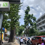 Nguyễn đình chiểu p4 q3 hxh thông, dt 34m2 x 4 tầng, mt ~4m, ở & kinh doanh, sổ đẹp, chỉ 8.05 tỷ