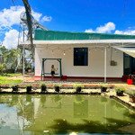 Nhà villa sân vườn rộng 1020m2 có hồ bơi xịn xò
