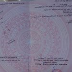 Cần bán lô đất đường nguyễn tất thành, hòa minh, liên chiểu 384m2, vị trí đắc địa