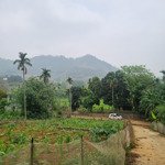 Vị trí đẹp trong làng nghỉ dưỡng tại phú mãn quốc oai hà nội, giá chỉ vài triệu rẻ nhất thị trường