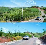 Chính chủ bán 660m2 đất thổ cư trung tâm bảo lâm - chỉ 1,65 tỷ