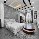 Căn hộ luxury, nội thất cao cấp, mới 100%, ngay big c trường chinh - kcn tân bình