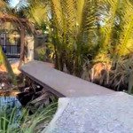 Bán lô đất nông nghiệp giá rẻ tân kiên