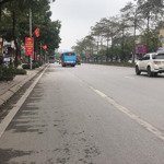 Ban nhà mặt phố ngô gia tự
mặt phố - lô góc 3 mặt tiền - kinh doanh đỉnh