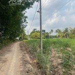 đất kp ninh phú phường ninh sơn, tp tây ninh, 5x52m