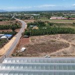 Lô đất gần khu du lịch sinh thái chỉ 300tr nhận ngay sổ