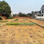 Bán đất tại đường phú cát, xã phú cát, quốc oai, hà nội, 31,5 triệu / m2, 91 m2