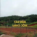 B.á.n lô đất tại thị xã mộc châu-sơn la. 5445m2. g.i.á 7,4 t.ỷ.