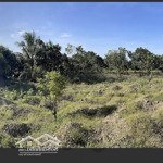 Bán đất tại ninh sơn, ninh hòa, khánh hòa, 590 triệu, 300m2 hàng hot chỉ với