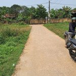 Cần việc bán gấp 2 khu đất vườn tròng cây lâu năm ở tổ dân phố 6,phường bắc lý, đồng hới,quảng bình