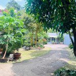 Cho thuê biệt thự 1100m² mặt tiền dân cư kinh doanh đông đúc thảo điền,nhà hàng, cà phê, kinh doanh