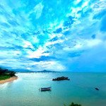 Hơn 200 m2 đất biển thổ cư ngay bãi tắm hòn đỏ - xã thanh hải - ninh hải - ninh thuận.
