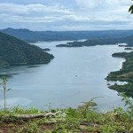 Bán đất tại xã phước an, nhơn trạch, đồng nai, 58 tỷ, 52000 m2