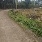 Bán đất tại tiên kiên, lâm thao, phú thọ, 630 triệu, 120 m2 uy tín