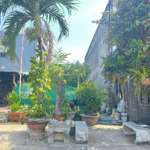 Bán đất 5,5m kẹp cống đường tùng lâm 5, hoà xuân.