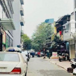 Nhà mặt phố tam đa - quận ba đình - vỉa hè 2 bên, khu vực kinh doanh tấp nập