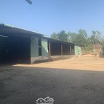 Bán kho, nhà xưởng tại xã nha bích, chơn thành, bình phước, 40 tỷ vnd, 10.000 m2