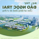 Bán bt song lập ngọc trai 05,diện tích đất 165,6m2,xd 289,8m2. giá 39 tỷ tốt nhất dự án