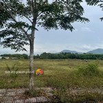 Cần bán 135m2 đất 500tr ngay mặt tiền đường hoàng phan thái - bình chánh , shr ,ngay chợ bình chánh
