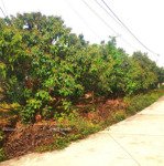 đất nền bán tại đường 31, xã kiên thành, lục ngạn, bắc giang, 550 triệu, 375 m2