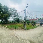 Cần tiền bán gấp lô đất 2 mặt tiền thôn 7 phú cát, quốc oai, hà nội. giá rẻ nhất khu vực 24tr/m2