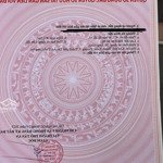 Bà chị em cần bán cái nền 452,5m2 mặt tiền ql1a , thuộc p5 tp tân an đoạn gần cầu sắt . đất nở hậu