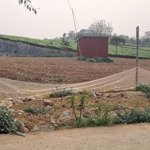 Siêu phẩm đất trung tâm mộc châu view đồi chè cực phẩm mặt tiền 63m khủng!