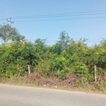Bán đất hẻm oto đường xa lộ đại hàn, an phú đông, quận 12, hồ chí minh, giá ưu đãi 25 tỷ, 439 m2