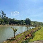 Bán đất đẹp thổ cư thôn 7, lộc tân, sắp sát nhập phường 2 bảo lộc - nhà gỗ, suối, ao, hạ giá gấp
