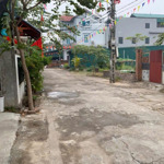Chính chủ cần bán 115m2 đất đẹp đấu giá vân nội. giáp trục nhật tân nội bài.giá đầu tư