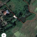 Bán đất thành công phổ yên thái nguyên chính chủ