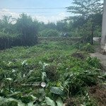 Chính chủ cần bán 120m2, mặt tiền đường lô b - an hạ, gần hóc môn, giá 2 tỷ. lh 0909805425